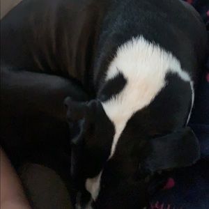 Meet your Posher, Rebekah